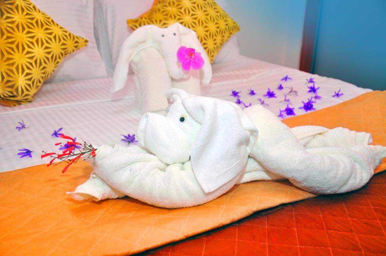 ホテル Senero House ベントータ エクステリア 写真